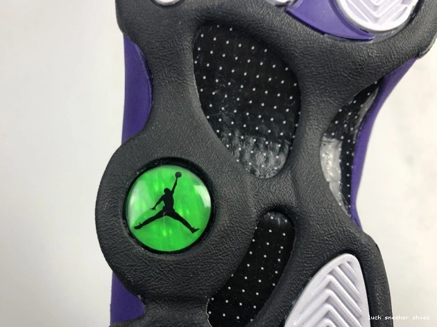 Reps LUCY 13 Purple Jordan Court DJ5982-015 Air 0810